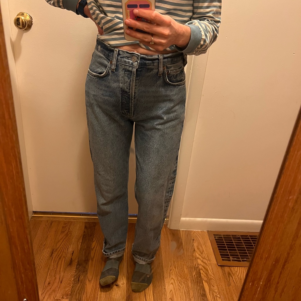 Agolde 90s Pinch Waist High Rise Straigh